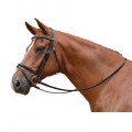 ALBION COMPETITION FLASH BRIDLE