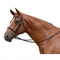 ALBION COMPETITION CAVESSON BRIDLE