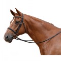 SALE-ALBION COMPETITION CAVESSON BRIDLE