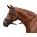 SALE-ALBION COMPETITION CRANK FLASH BRIDLE