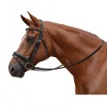 ALBION COMPETITION CRANK FLASH BRIDLE