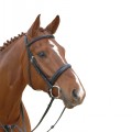 ALBION COMPETITION CRANK CAVESSON BRIDLE