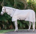 HORSEWARE AMIGO INTEGRATED FLY SHEET