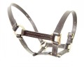 ASCOT FOAL HALTER