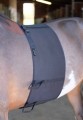 NORTON BELLY BAND