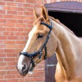 EQUILIBRIUM MUZZLE NET FOR MICKLEM BRIDLE