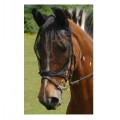 EQUILIBRIUM NET RELIEF RIDING MASK WITH EARS