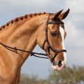HORSEWARE RAMBO MICKLEM COMPETITION BRIDLE