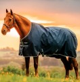 HORSEWARE AMIGO RIPSTOP 900D PONY TURNOUT 100G