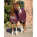 HORSEWARE AMIGO STABLE SHEET
