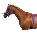 KINCADE EQUIGRIP LUNGING KIT 4 PIECE