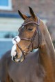 LE MIEUX ARIKA GRACKLE BRIDLE