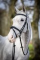 LE MIEUX COMPETITION BRIDLE