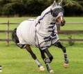 LEMIEUX KUDOS GLADIATOR FLY RUG