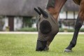 LEMIEUX BUG RELIEF LYCRA FULL FLY MASK