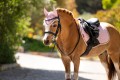 LE MIEUX MINI FLY HOOD