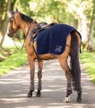 LE MIEUX ARIKA CLIMA-TEK QUARTER SHEET