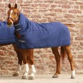HORSEWARE RAMBO UNDERBLANKET PLUS HEAVY 300G