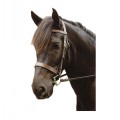 SABRE EMBOSSED ETON FLAT CAVESSON BRIDLE