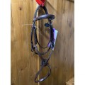 SABRE CORDOBA KLASSIC GRACKLE BRIDLE