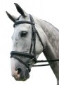 SABRE CORDOBA KLASSIC FLASH BRIDLE