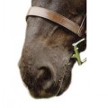 SABRE ETON FLAT CAVESSON NOSEBAND