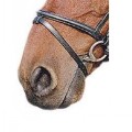 SALE-SABRE PREMIER PONY FLASH NOSEBAND