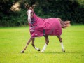 SHIRES TEMPEST ORIGINAL 200 COMBO TURNOUT