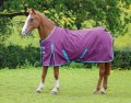 SALE-BRIDLEWAY ONTARIO MED TURNOUT 220G
