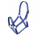ARMA  ADJUSTABLE HEADCOLLAR