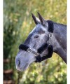 SHIRES PERFORMANCE SUPAFLEECE HALTER FLEECE SET