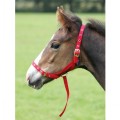SHIRES NYLON FOAL SLIP