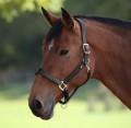 VELOCITI LUSSO LORCA LEATHER HEADCOLLAR
