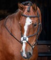 SHIRES VELOCITI RAPIDA PADDED GRACKLE BRIDLE