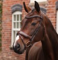 SHIRES LUSSO OPUS DRESSAGE FLASH  BRIDLE