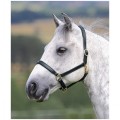 SHIRES VELOCITI GARA RAGLEY HEADCOLLAR LEATHER