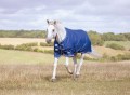 SALESHIRES TEMPEST ORIGINAL  LITE STANDARD NECK PONY