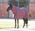 SALE-SHIRES TEMPEST PLUS 200 COMBO STABLE RUG