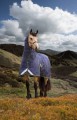 SALE-SHIRES STORMCHEETA 300G COMBO TURNOUT RUG