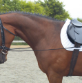 SHIRES ELASTIC TRAINING REIN