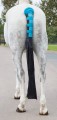 SHIRES PADDED TAIL GUARD WITH  BAG