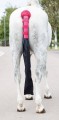 SHIRES PADDED TAIL GUARD WITH  BAG