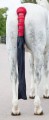 SHIRES PADDED TAIL GUARD WITH  BAG