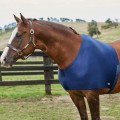 WEATHERBEETA SHOULDER GUARD
