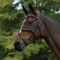 SALE-COLLEGIATE COMFITEC GRACKLE BRIDLE