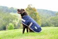WEATHERBEETA COMFITEC ESSENTIAL DOG COAT