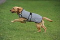 WEATHERBEETA COMFITEC REFLECTIVE DOG COAT