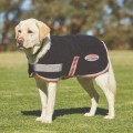 WEATHERBEETA THERAPY-TEC DOG RUG