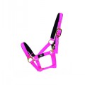 HY FIELDSAFE FOAL HEADCOLLAR