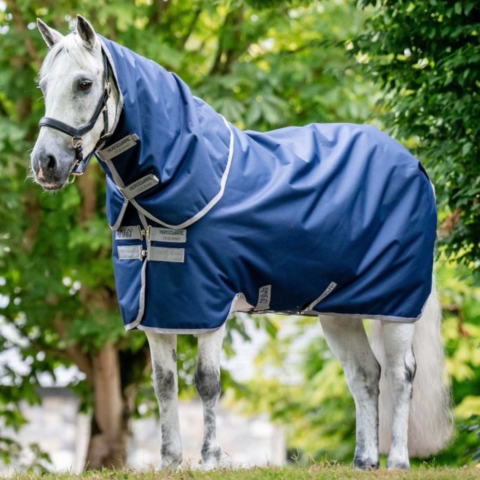 Shop for Horse & Pony